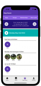 Image of mobile phone showing dogs and who has paid